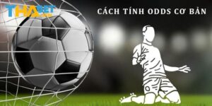 Odds là gì